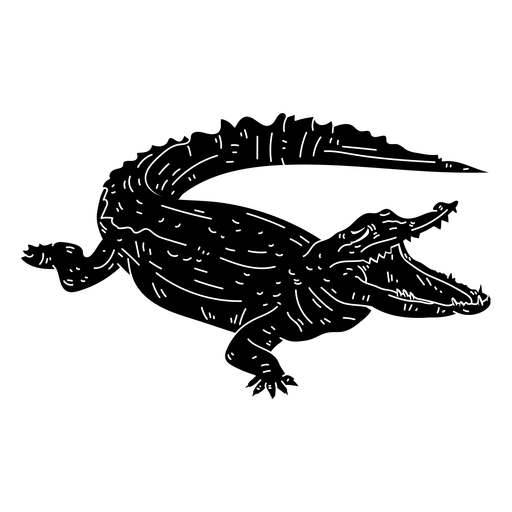 Alligator Vector Transparent PNG Image