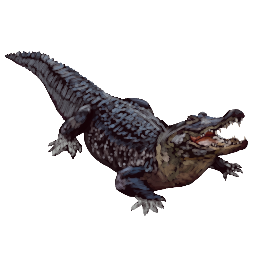 Alligator Background Transparent PNG Image