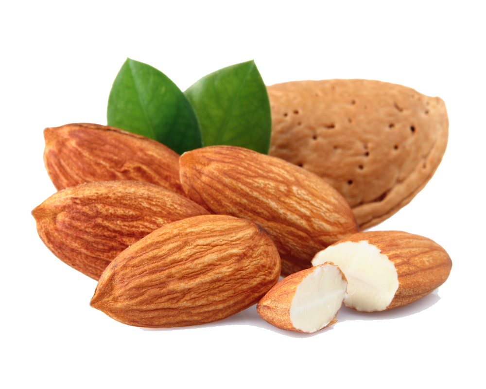 Almond Transparent PNG Image