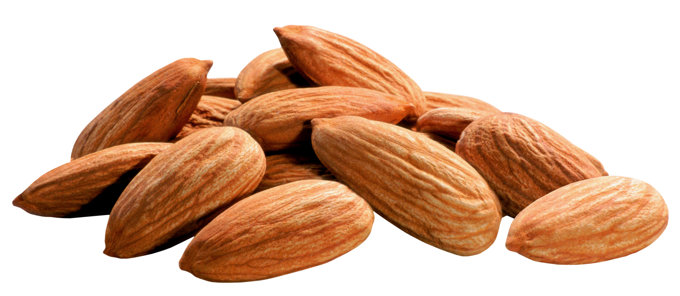 Nut Almond Transparent PNG Image
