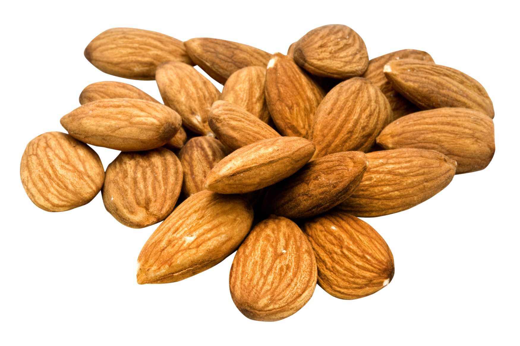 Nut Almond Transparent PNG Image
