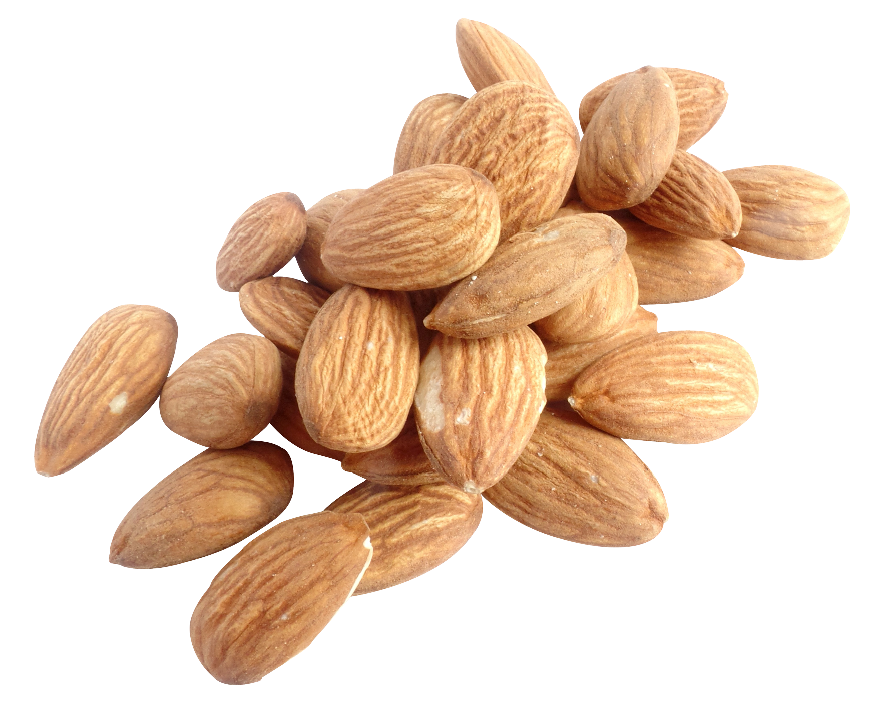 Nut Almond Transparent PNG Image