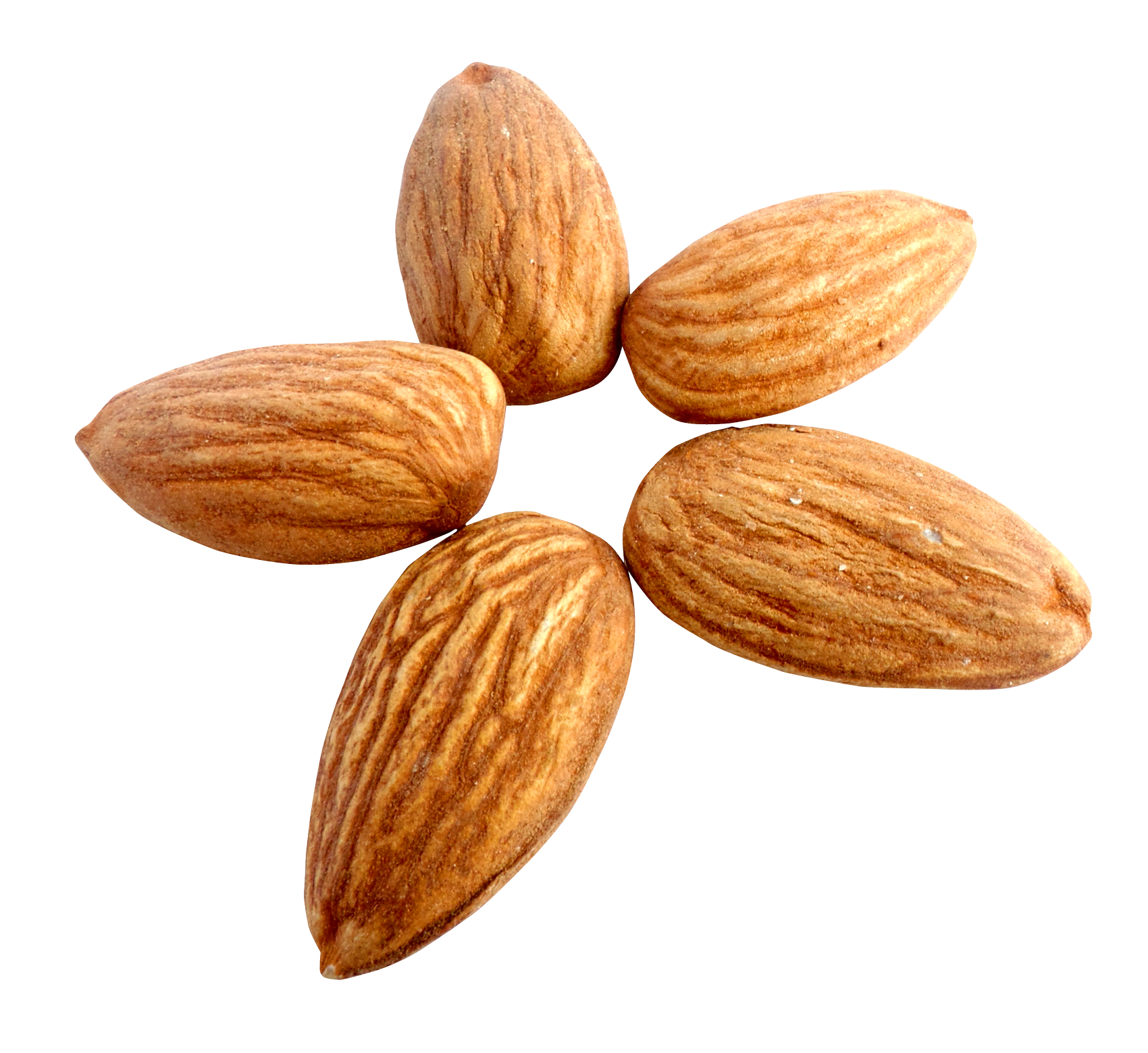 Nut Almond Transparent PNG Image