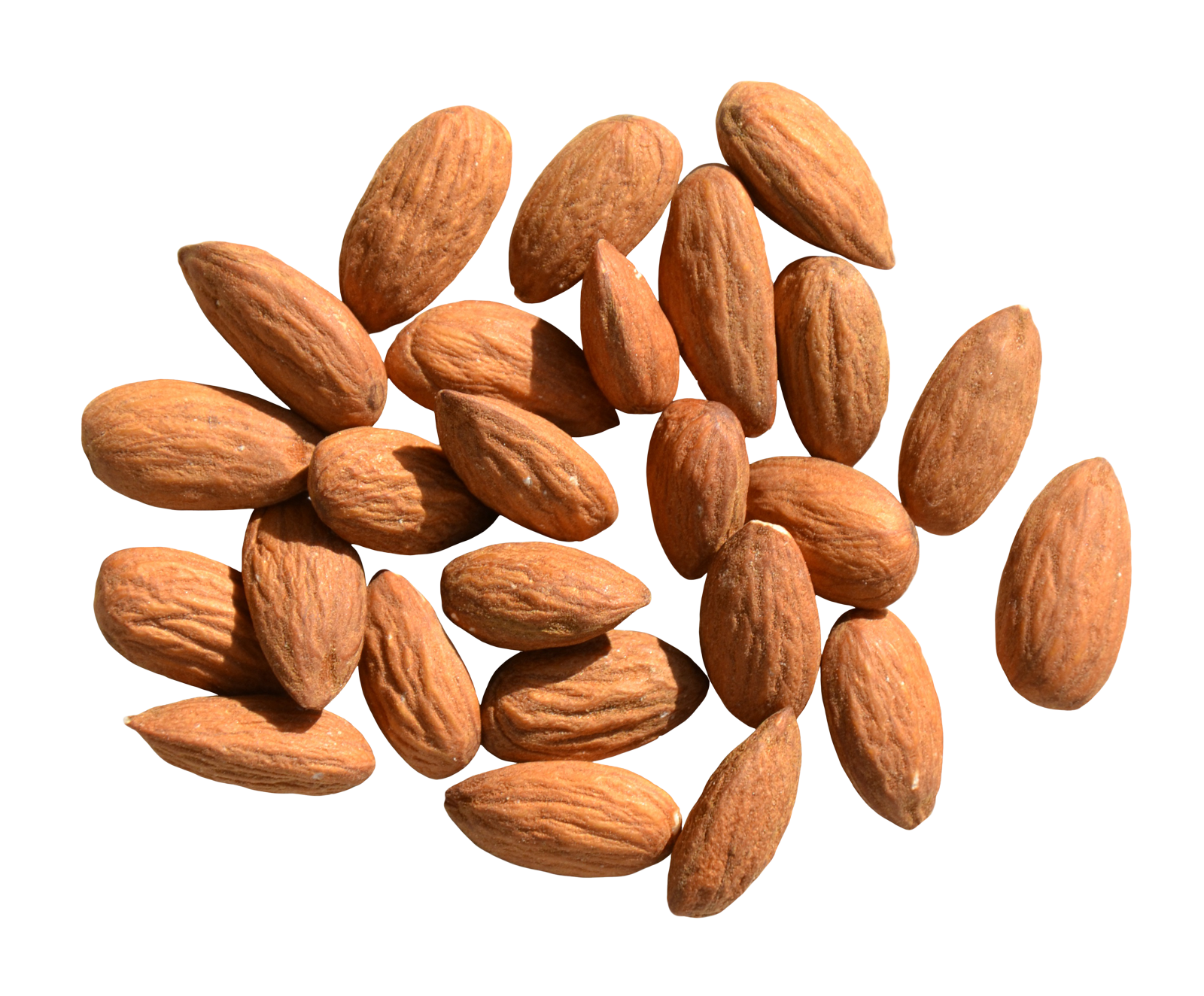 Nut Almond File Transparent PNG Image