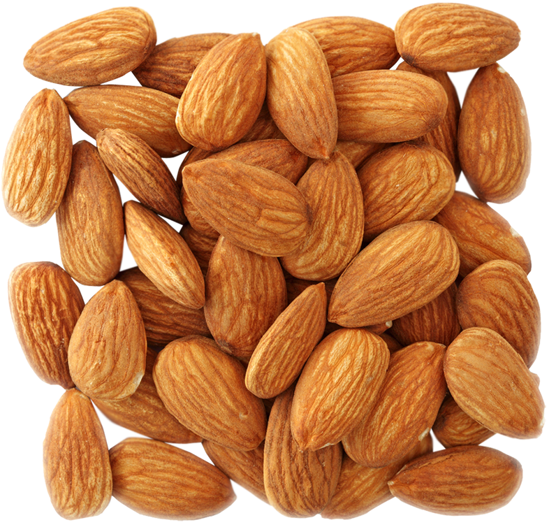 Nut Almond Transparent PNG Image