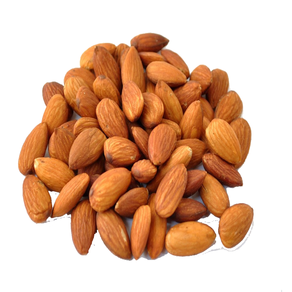 Nut Almond File Transparent PNG Image
