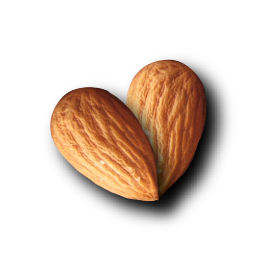 Nut Almond File Transparent PNG Image