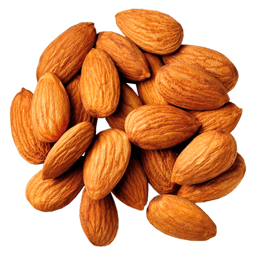 Nut Almond Transparent PNG Image