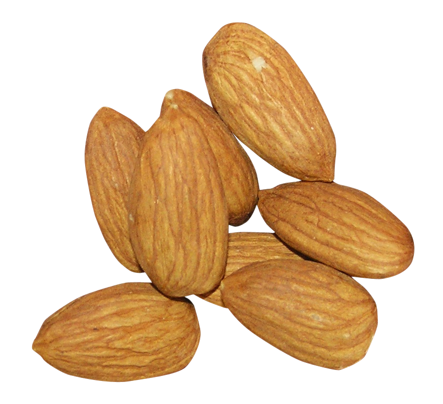 Nut Almond Transparent PNG Image