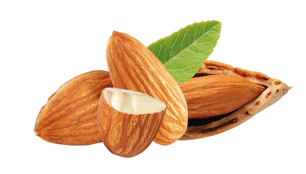 Nut Almond Transparent PNG Image
