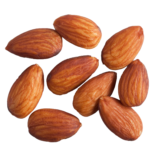 Nut Almond Transparent PNG Image