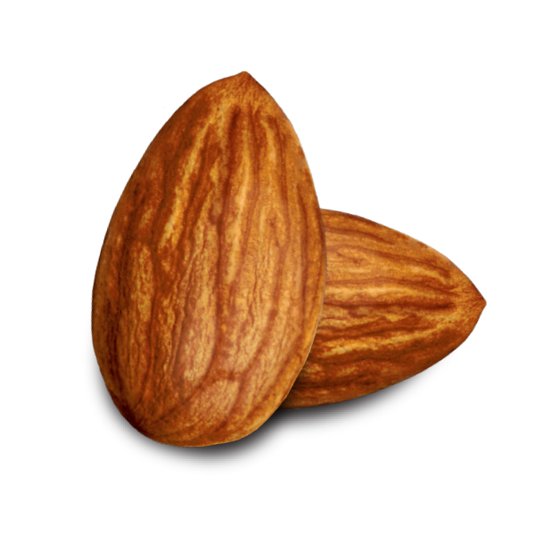 Nut Almond Transparent PNG Image
