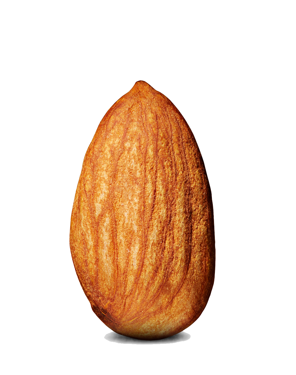 Almond Transparent PNG Image