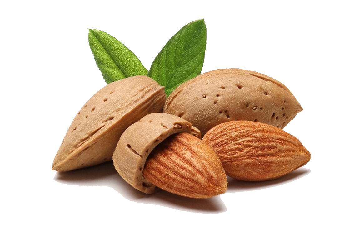 Almond File Transparent PNG Image