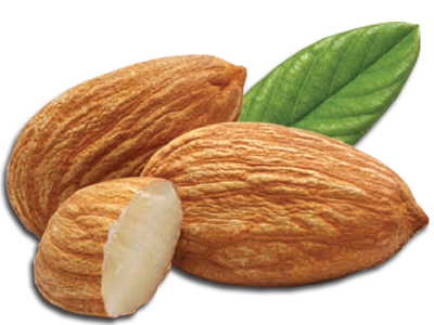 Almond Transparent PNG Image