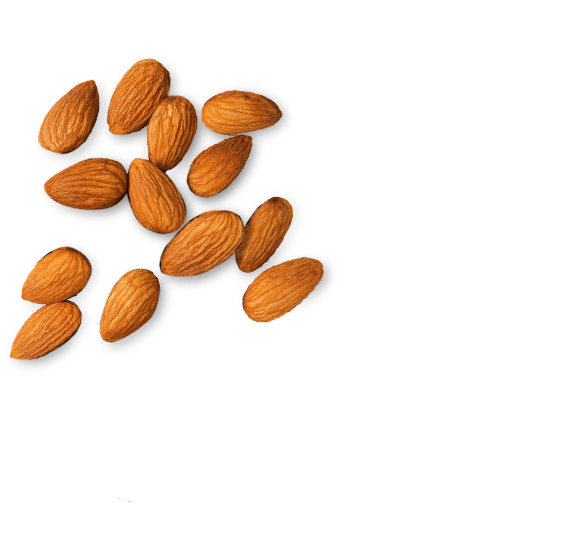 Almond Transparent PNG Image