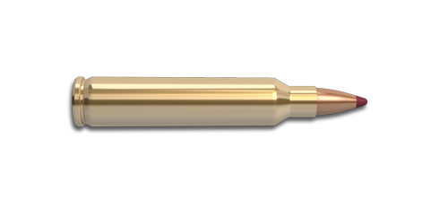 Ammunition Transparent PNG Image
