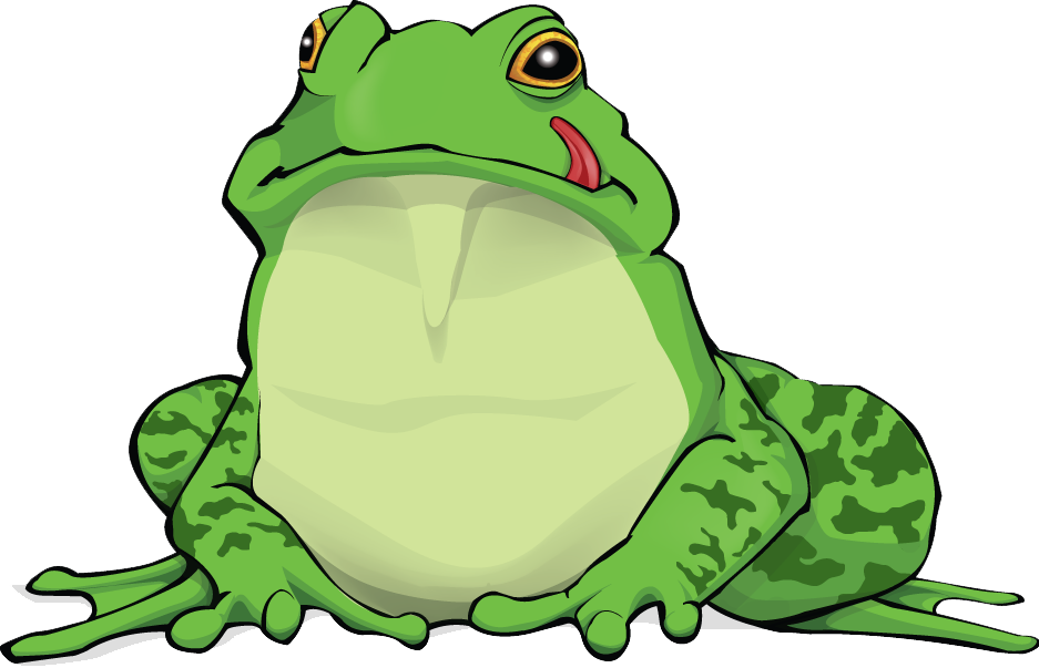 Amphibian Transparent PNG Image