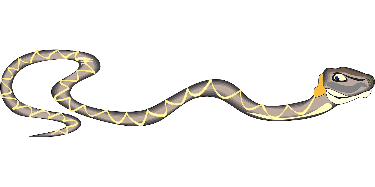 Reptile Snake Slitherio Viper Transparent PNG Image