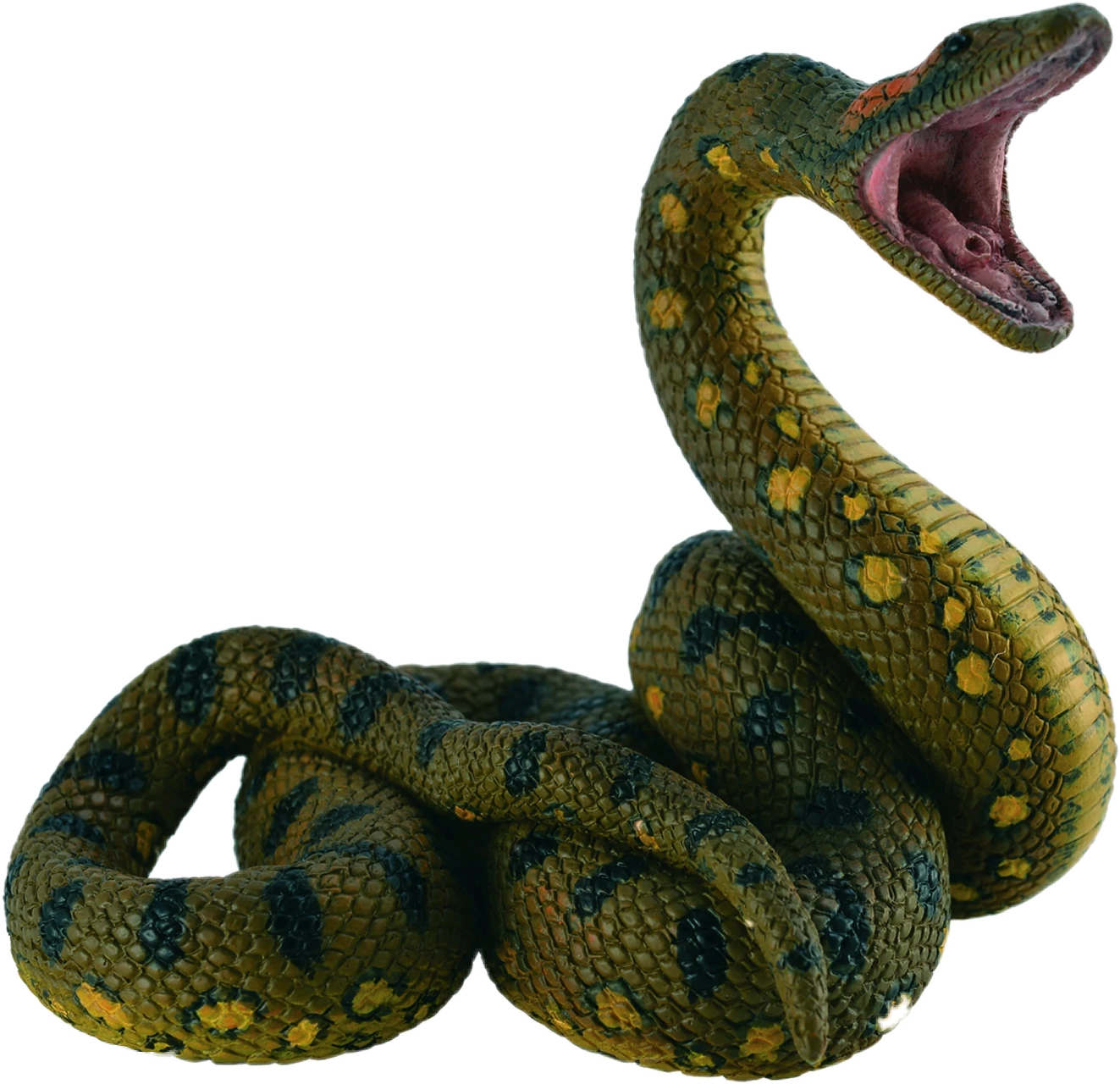 Green Anaconda Transparent PNG Image