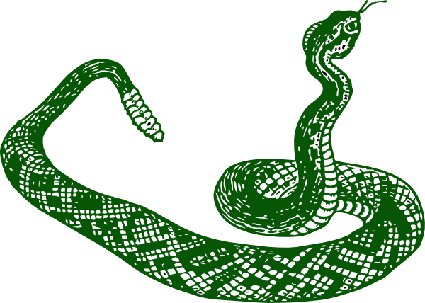 Green Anaconda Transparent PNG Image