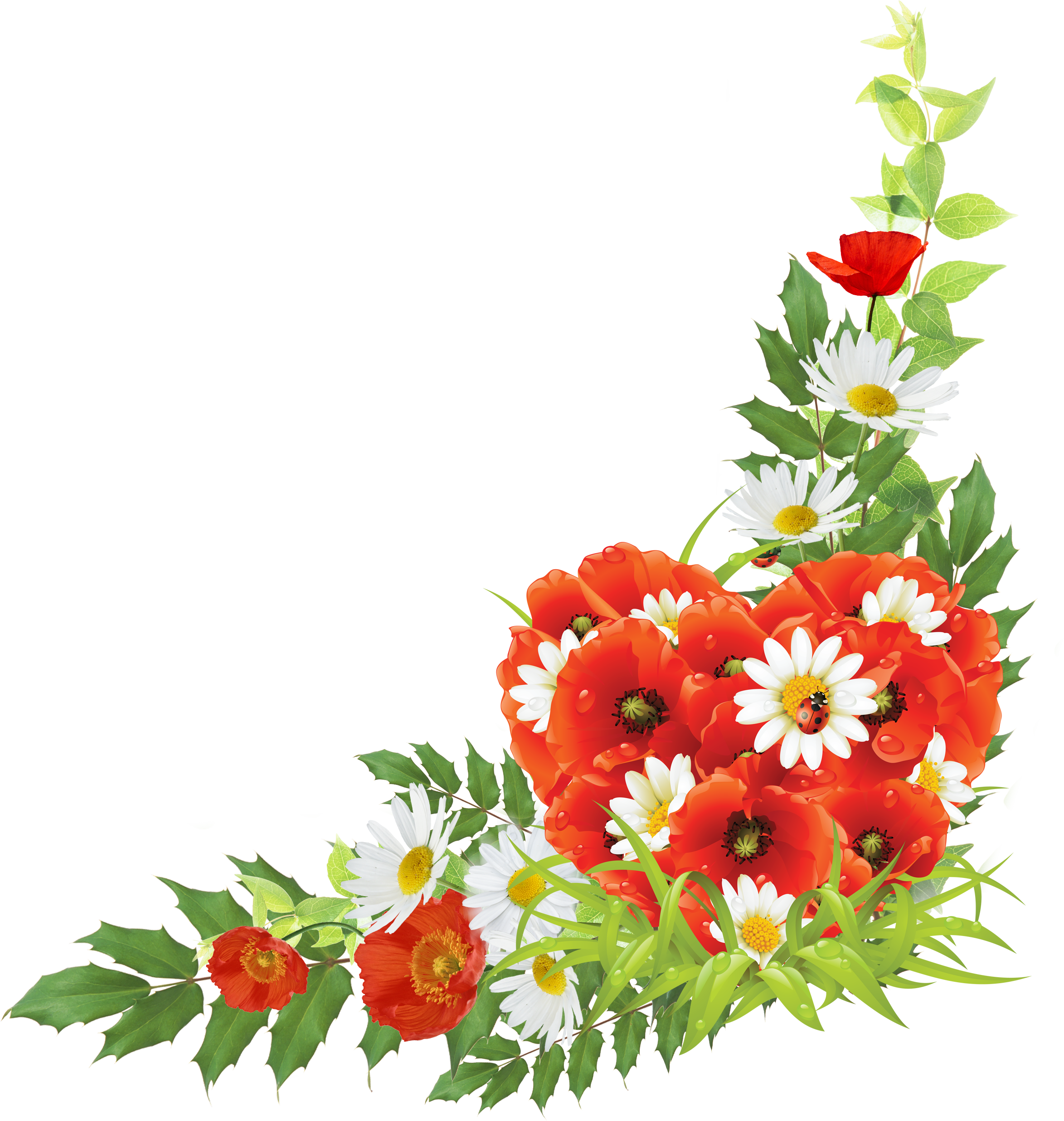 Corner Android Flowers Frame Transparent PNG Image