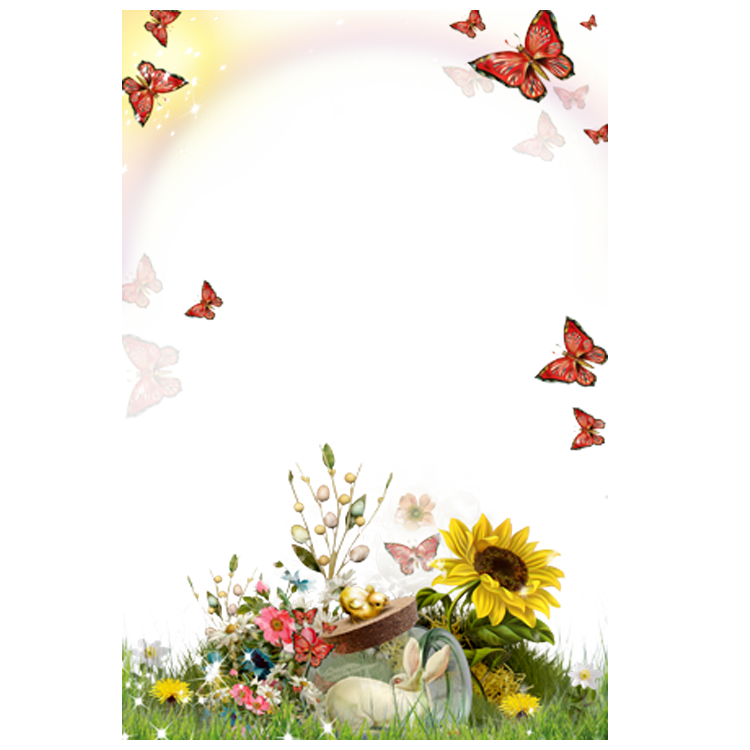 Flower Sunflower Frame Android graphy Transparent PNG Image