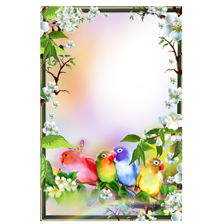 Play Google Cute Frame Lark Transparent PNG Image