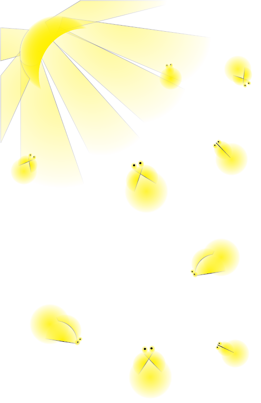 Petal Paper Angle Yellow Transparent PNG Image