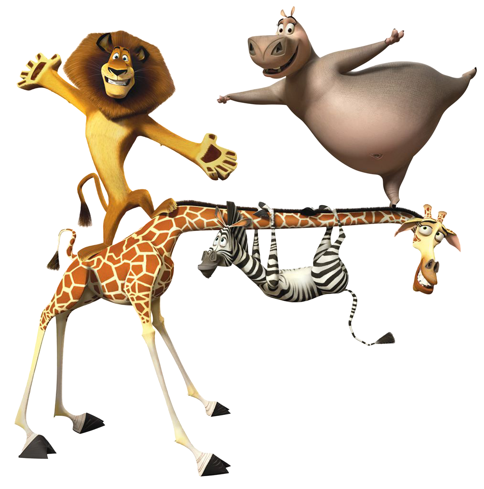 Melman Giraffidae Alex Gloria Joint Transparent PNG Image