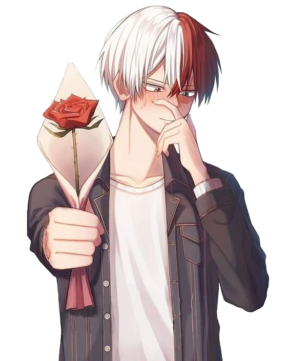 Todoroki Shoto Transparent PNG Image