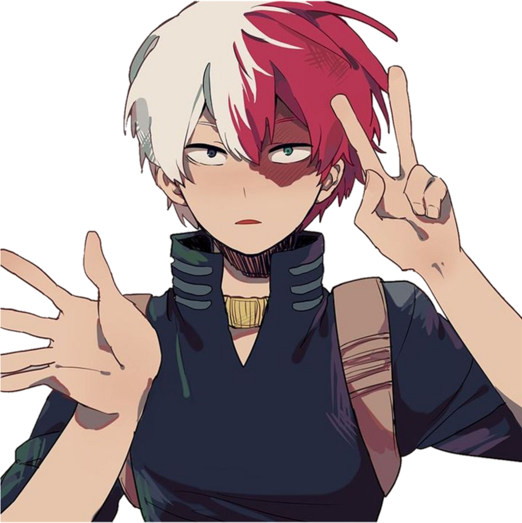 Tv Todoroki Shoto Character Transparent PNG Image