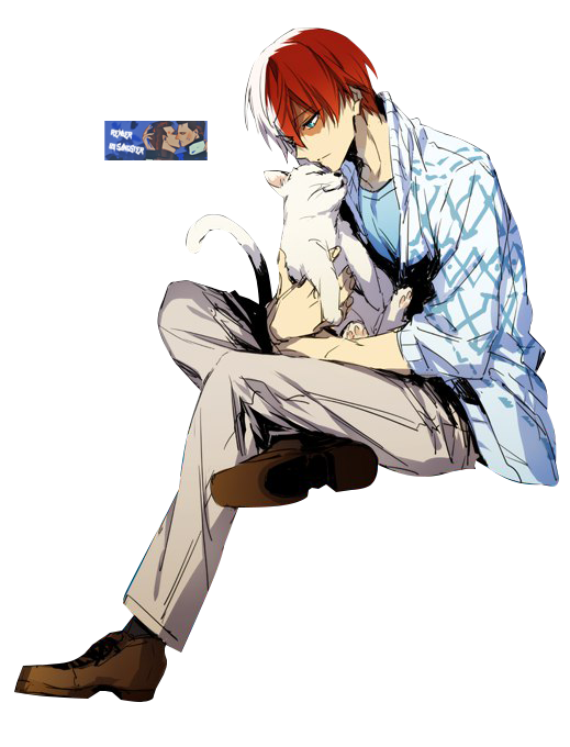Todoroki Transparent PNG Image