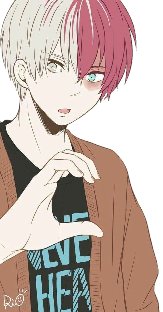 Todoroki Transparent PNG Image