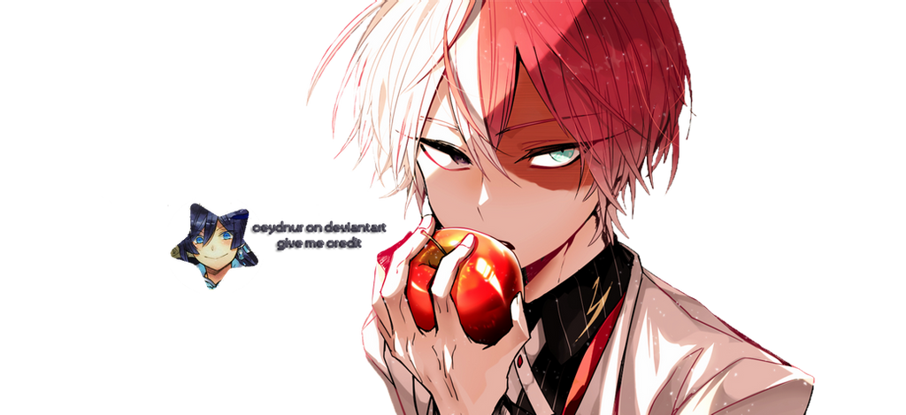 Todoroki Transparent PNG Image