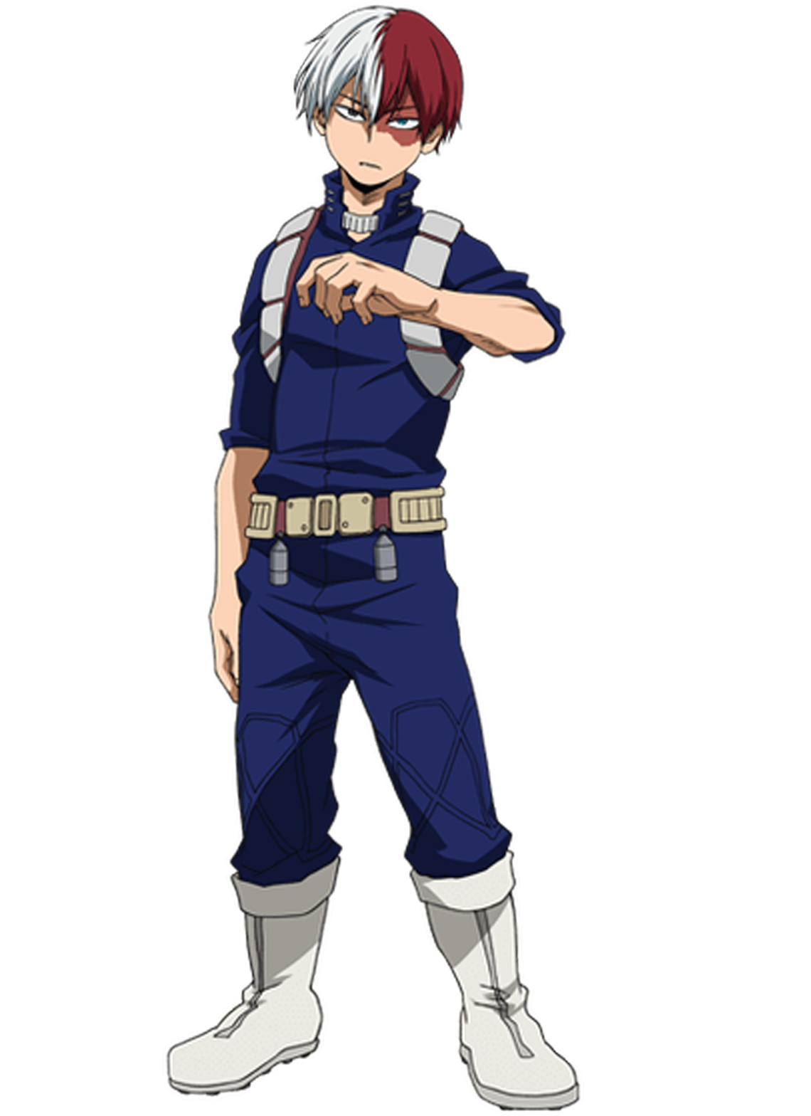 Todoroki Transparent PNG Image