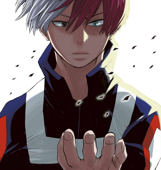 Todoroki Transparent PNG Image