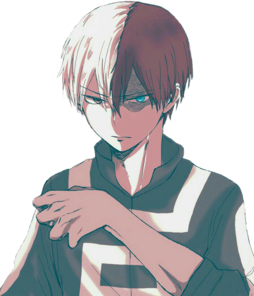 Todoroki Transparent PNG Image