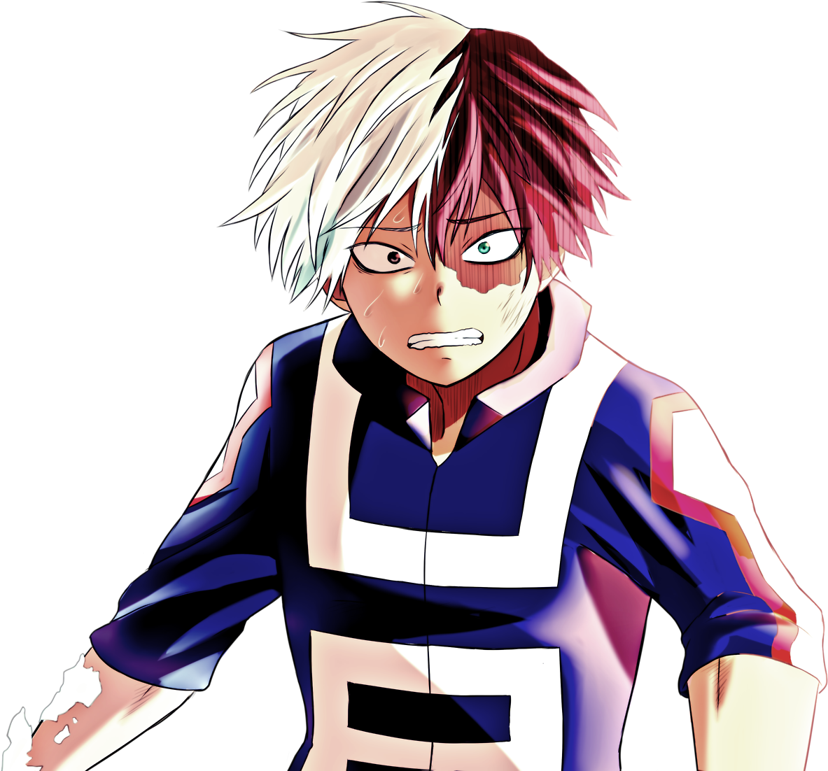 Todoroki Transparent PNG Image