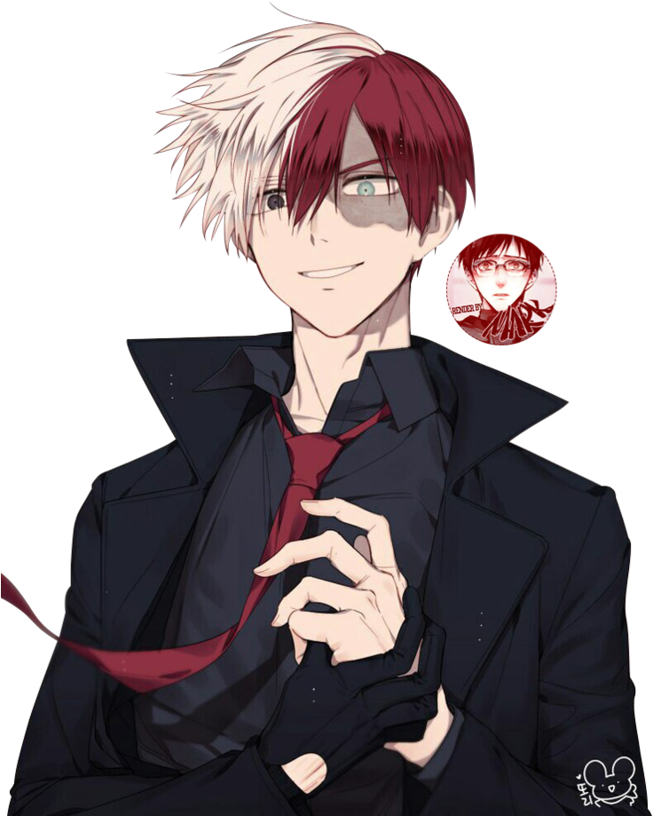 Todoroki Transparent PNG Image