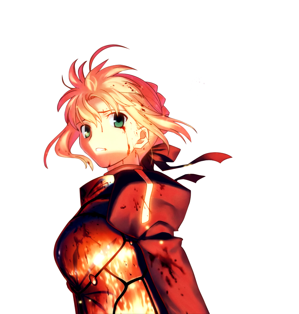 Fate Stay Transparent PNG Image