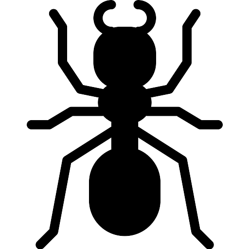 Ant Transparent PNG Image