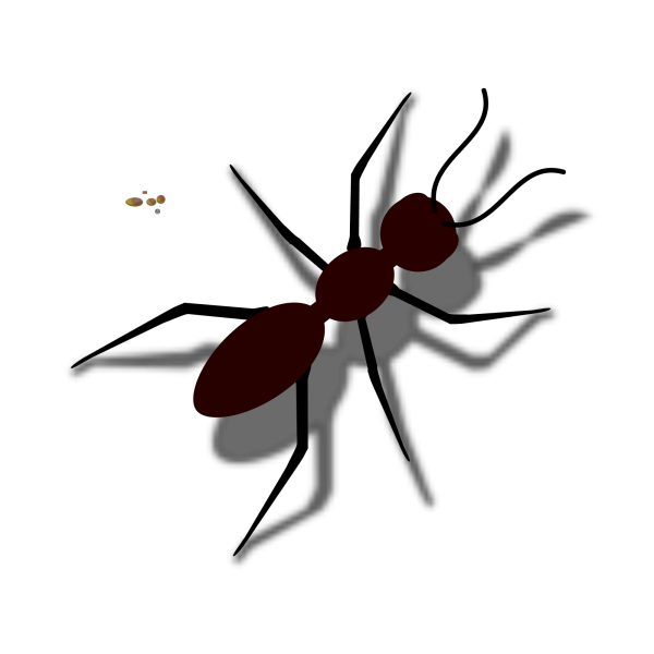 Ant Red Transparent PNG Image