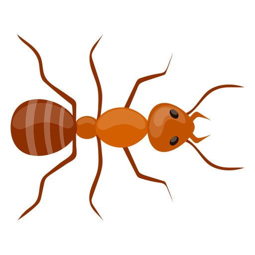 Ant Red Transparent PNG Image