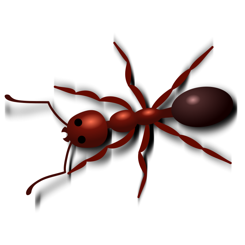 Ant Red Transparent PNG Image