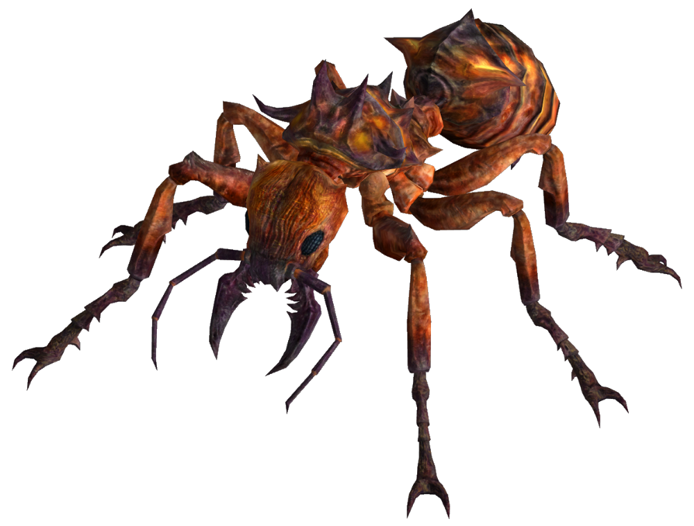 Ant Vector Transparent PNG Image