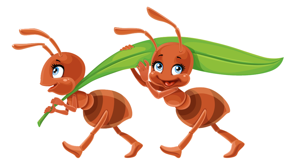 Ant Vector Transparent PNG Image