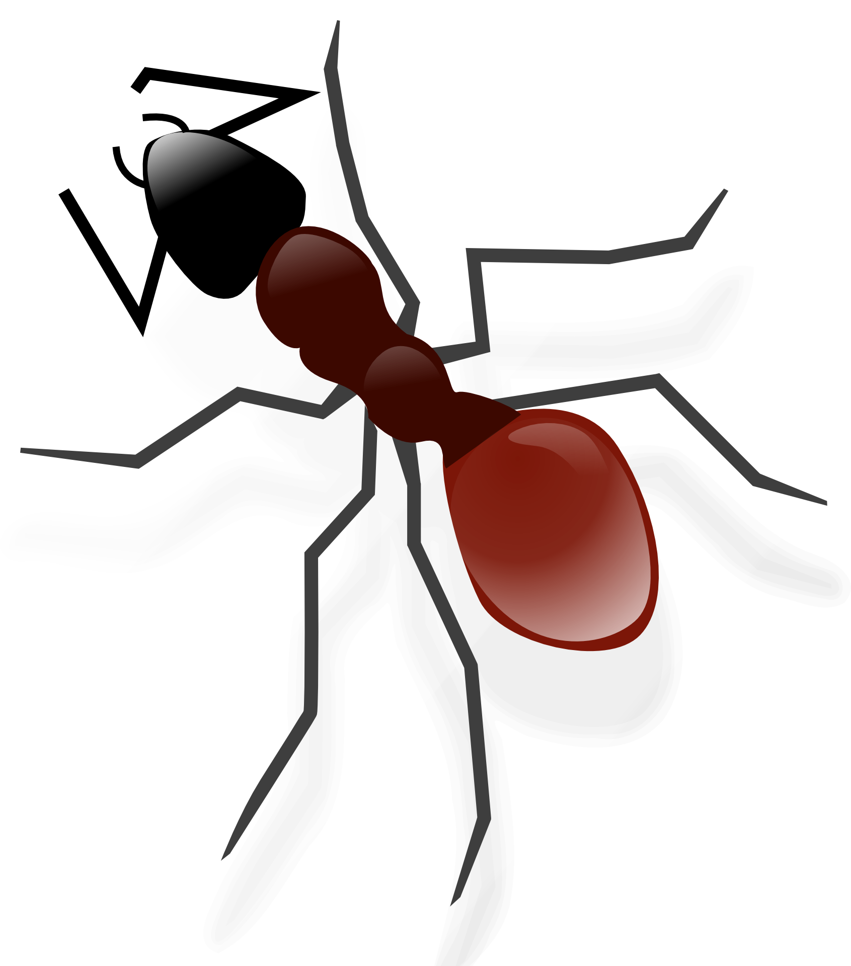 Ant Vector Transparent PNG Image