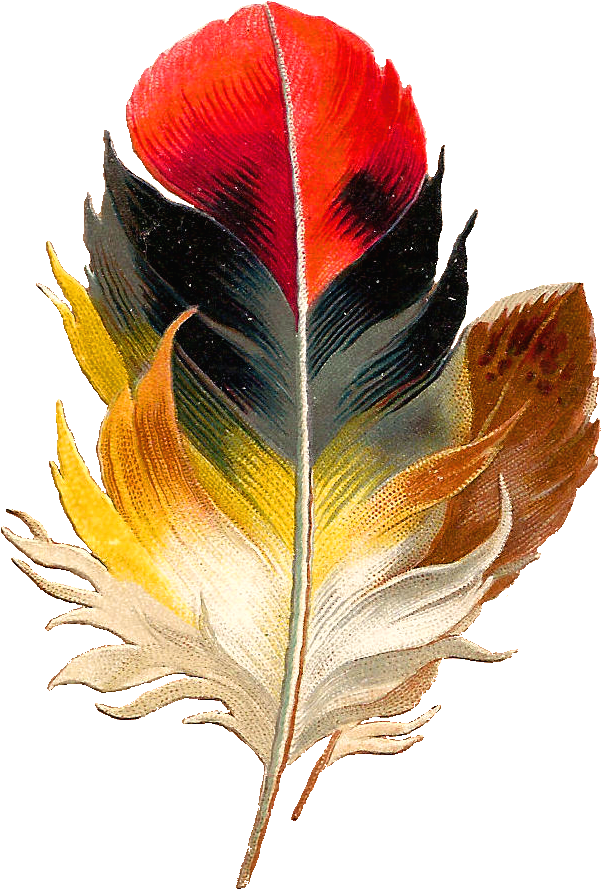 Antique Flower Art Transparent PNG Image