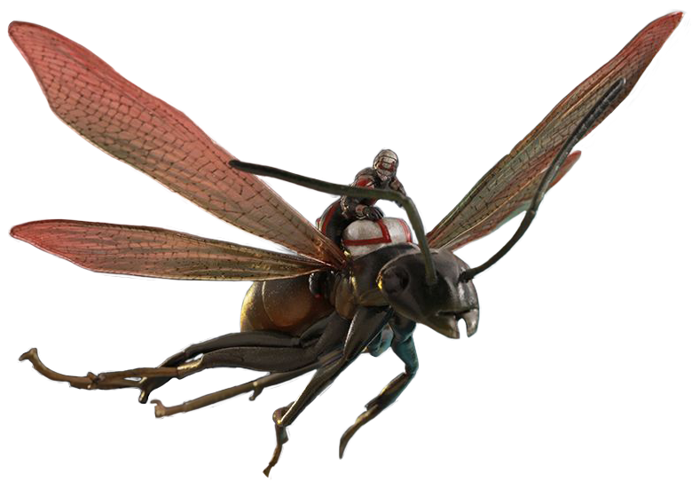 Ant-Man Transparent PNG Image